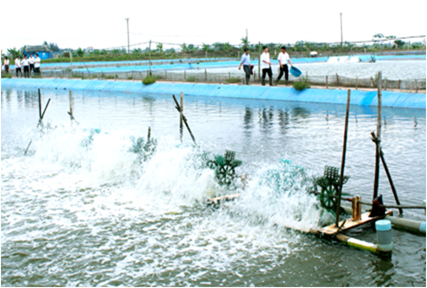 Ninh Bình: Ứng dụng công nghệ cao trong nuôi trồng thủy sản