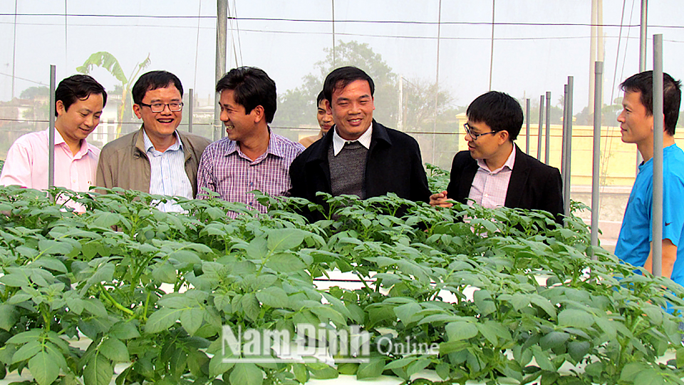 Nam Định: Đẩy mạnh ứng dụng khoa học và công nghệ nâng cao giá trị chuỗi sản phẩm nông nghiệp
