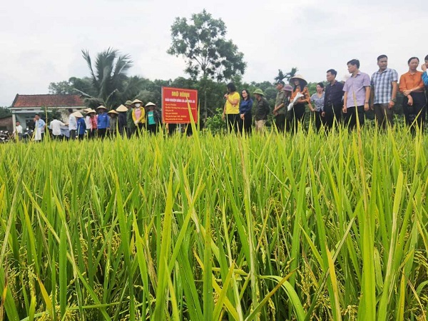 Quảng Ninh: Phát huy tính chủ thể của nông dân trong phát triển sản phẩm OCOP